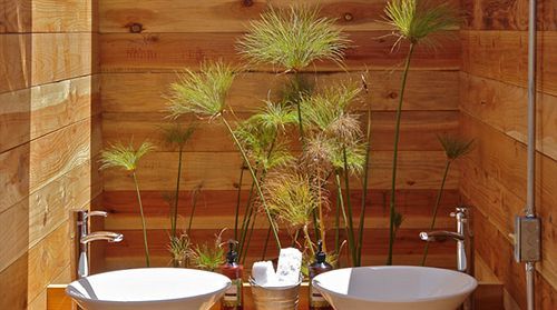 Cabanas Cuatrocuatros El Sauzal  Ngoại thất bức ảnh